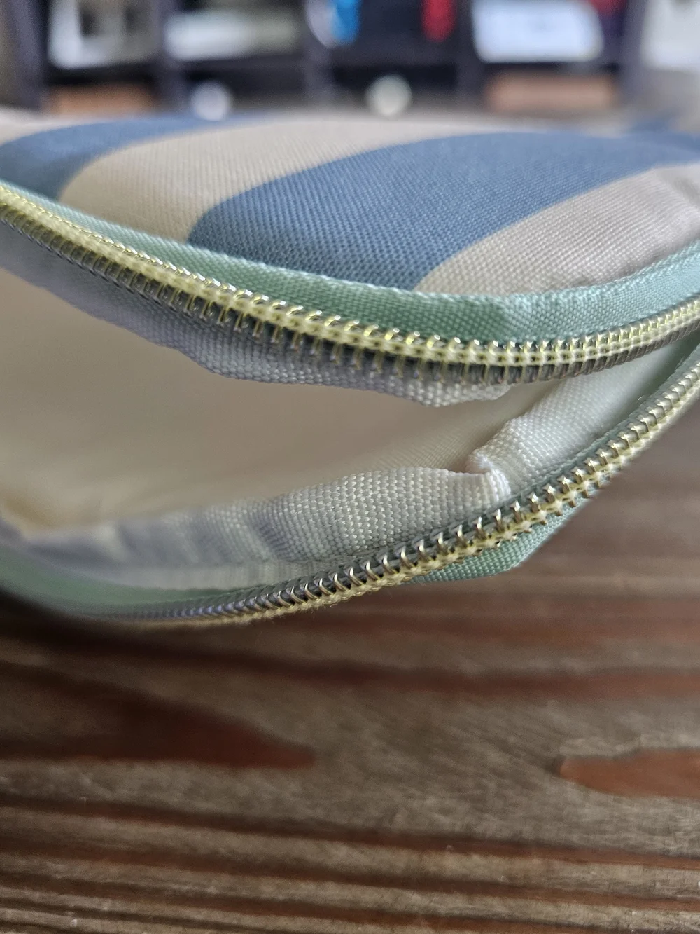 Striped Blue & White Padded Zipper Tablet/Labtop/Organizer Sleeve